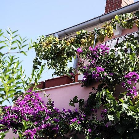Apartments By The Sea Mali Losinj Veli Losinj Exterior photo